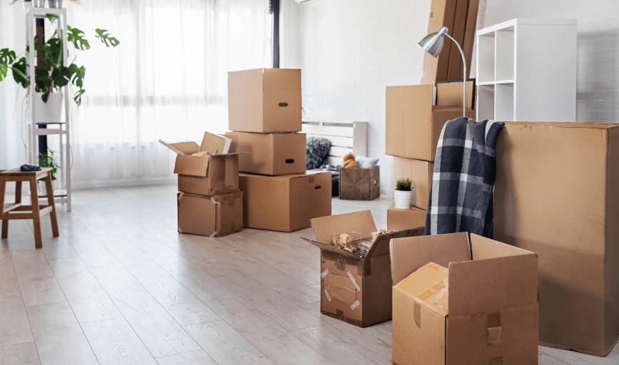 Move-Out Cleaning